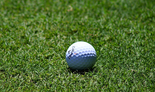 Golf: Browns finish in top 10 at Texas Father-Son
